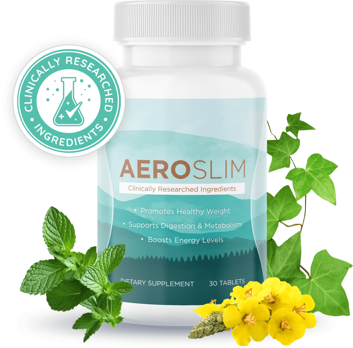 Aeroslim Review