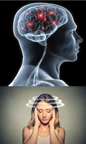 CogniClear Reviews 2026: Does This Natural Brain Supplement Really Restore Memory and Mental Clarity? 7 image 996